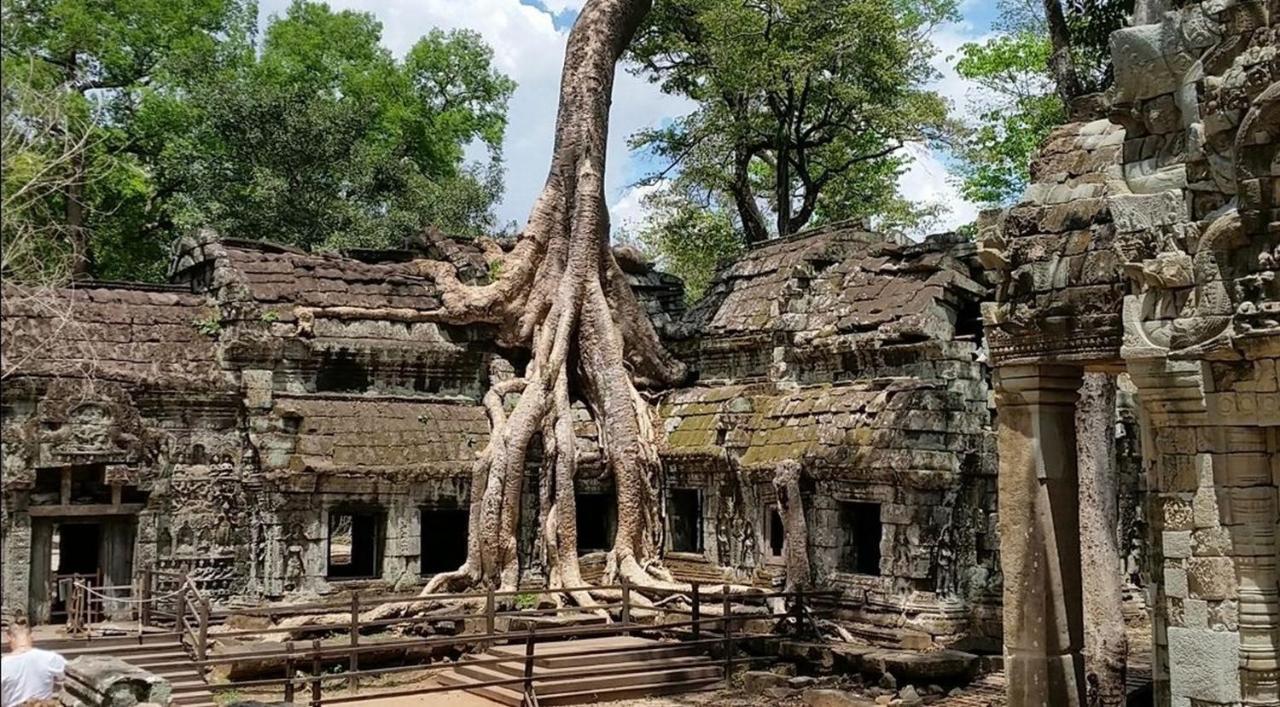 The Palmery Siem Reap Exteriér fotografie