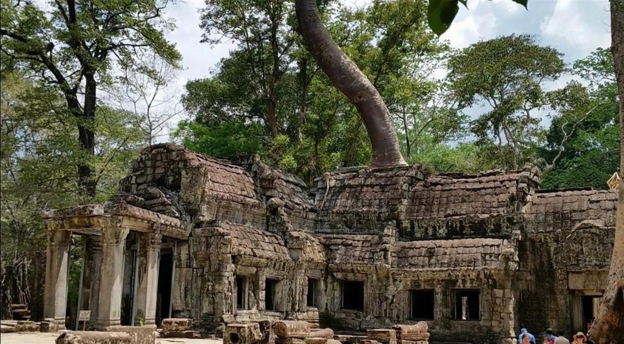 The Palmery Siem Reap Exteriér fotografie